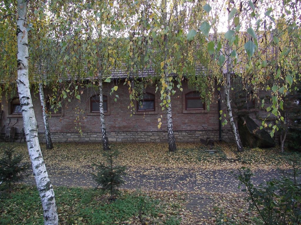 Szalma Vendeghaz Otel Mogyorosbanya Dış mekan fotoğraf