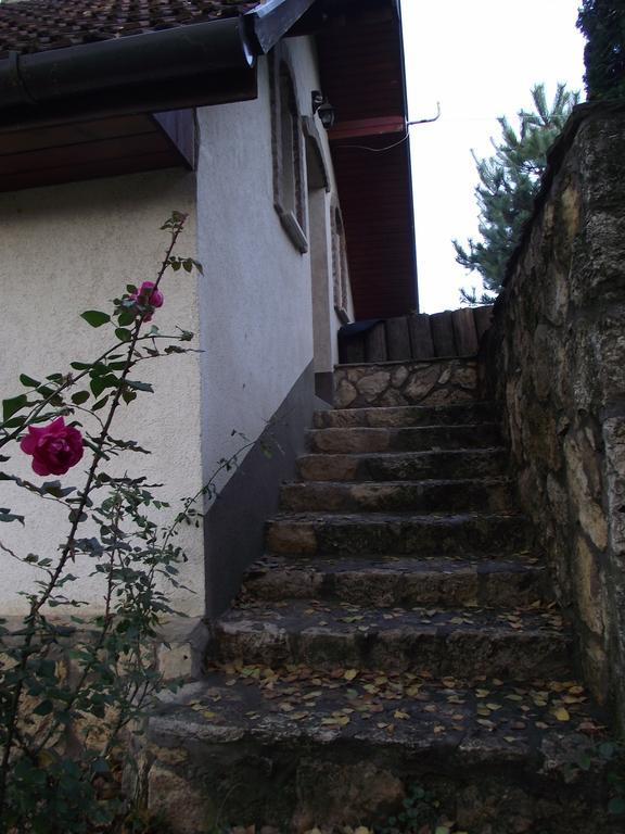 Szalma Vendeghaz Otel Mogyorosbanya Dış mekan fotoğraf