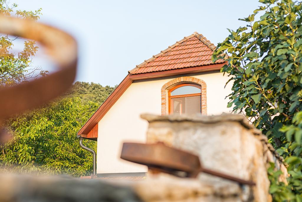 Szalma Vendeghaz Otel Mogyorosbanya Dış mekan fotoğraf