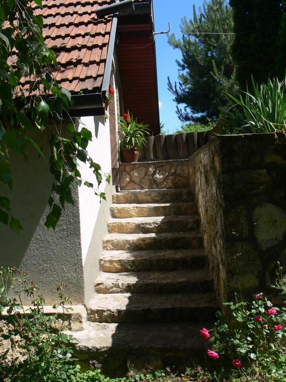 Szalma Vendeghaz Otel Mogyorosbanya Dış mekan fotoğraf