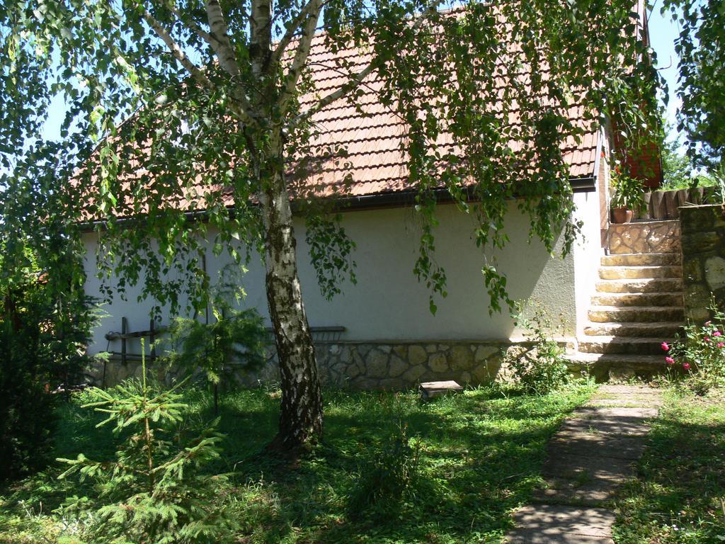 Szalma Vendeghaz Otel Mogyorosbanya Dış mekan fotoğraf