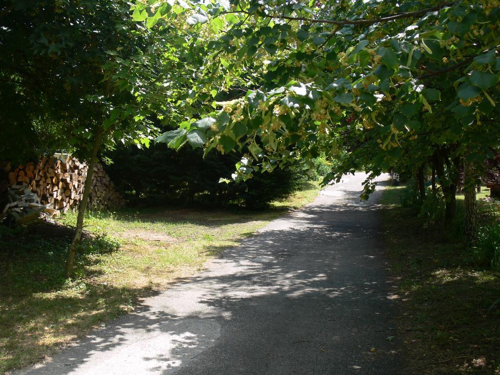 Szalma Vendeghaz Otel Mogyorosbanya Dış mekan fotoğraf