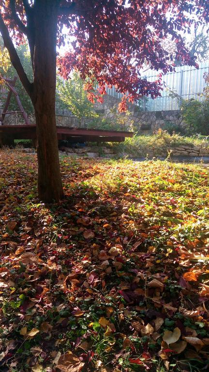 Szalma Vendeghaz Otel Mogyorosbanya Dış mekan fotoğraf