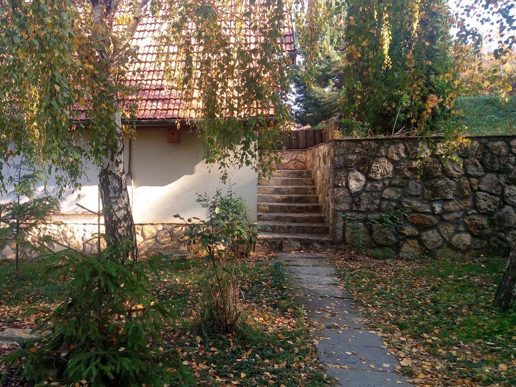 Szalma Vendeghaz Otel Mogyorosbanya Dış mekan fotoğraf