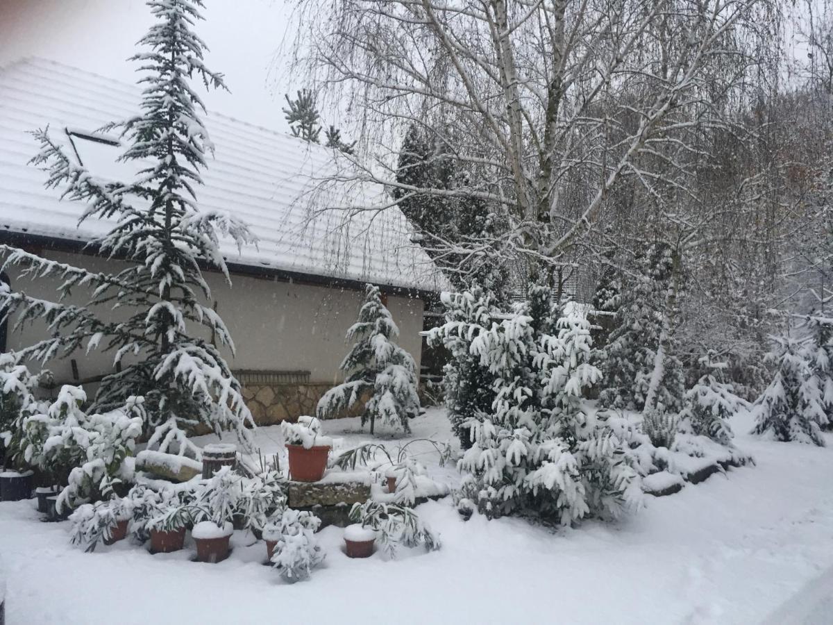 Szalma Vendeghaz Otel Mogyorosbanya Dış mekan fotoğraf